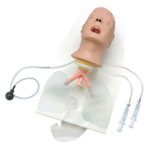 Advanced “Airway Larry” Trainer Head With Stand