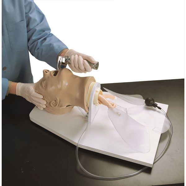 Adult Airway Management Trainer With Stand